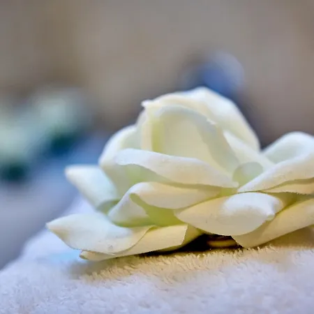 Aschenbrenner Hotel 3*