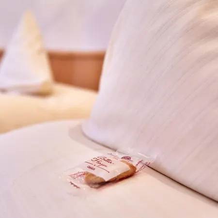 Hotel Aschenbrenner